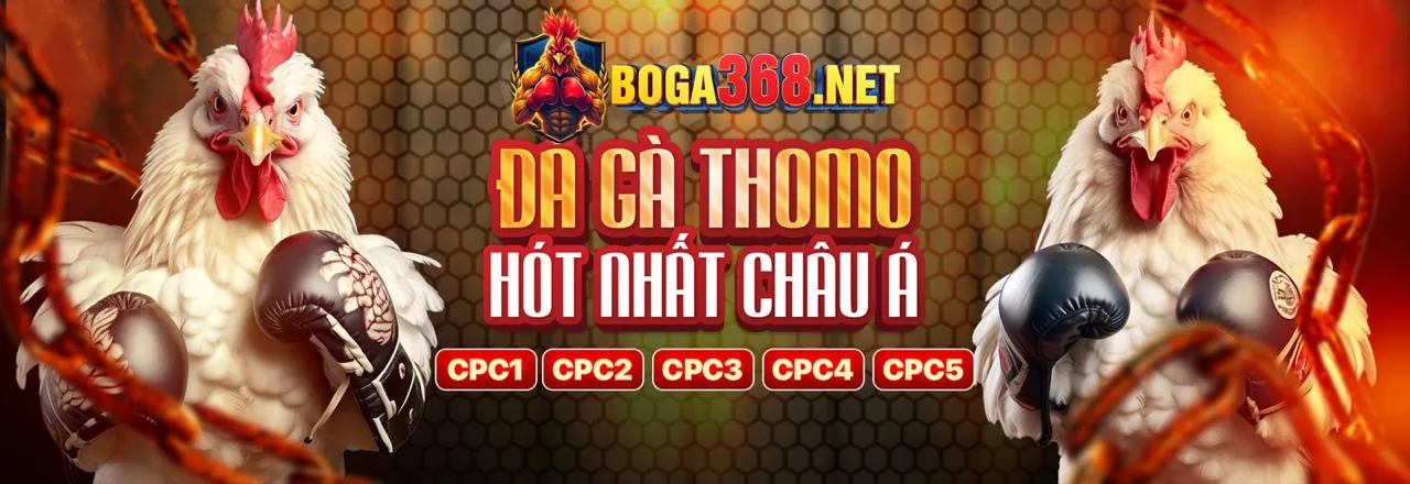 Giao diện cá cược đá gà trực tuyến HI88